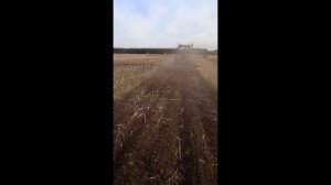 трактор БТЗ 244 к и БЭК 7 Безотвальный Энергонасыщенный комплексный агрегат работа по подсолнуху