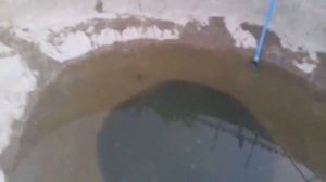 Пруд из бетона с биоплато  своими руками.