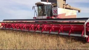 Навесная жатка Дон Мар 12 метров Acros (header 12m Acros)