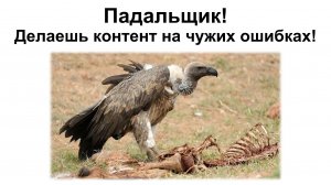 Почему ты живешь на чужих ошибках?