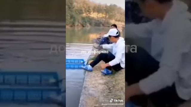 Эх хвост чешуя ..... смотреть онлайн