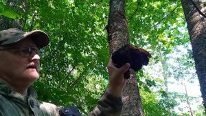 Топор - носи всегда его с собой ! 😊