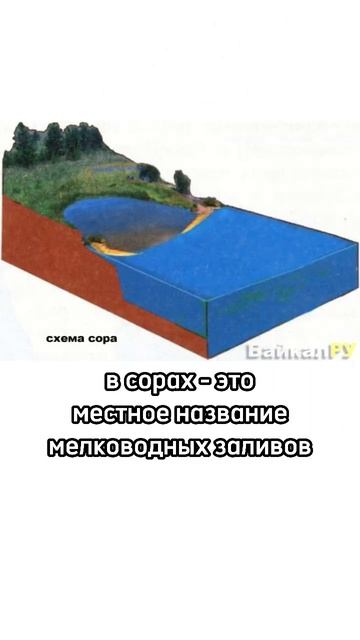 Где самая теплая вода на Байкале? И почему? #shorts #озеробайкал #иркутскаяобласть #бурятия #сибирь