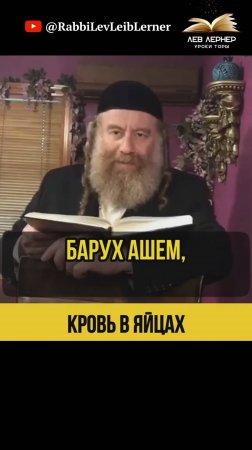 Кровь в яйцах 🥚 Тора и Еврейская традиция
