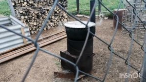 Бакчамдагы чәчәкләр.