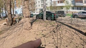 Гуляем с другом)