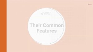 The North Face Backpacks: Borealis vs. Jester