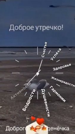 Добрый день !