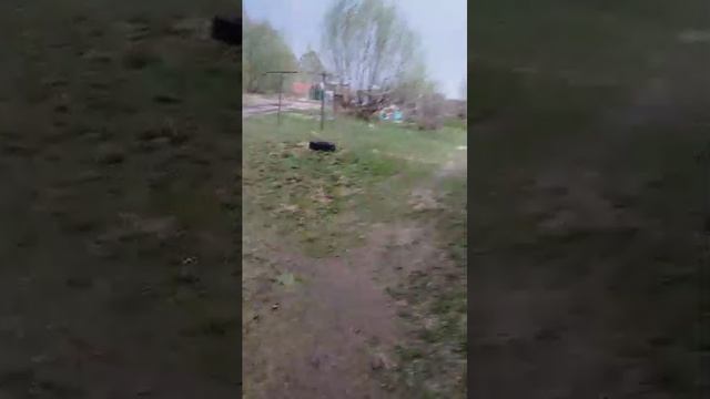 гроза
