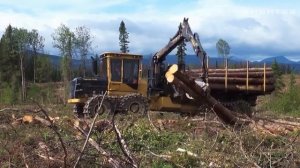 Форвардер Tigercat 1075B