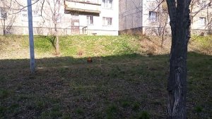 О взаимщиках , комментариях и друзьях