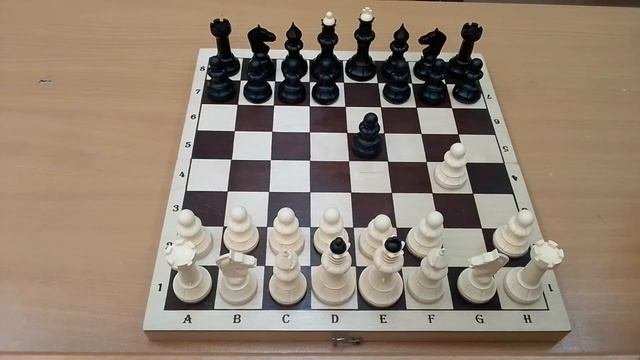 Шахматы. Мат в два хода
