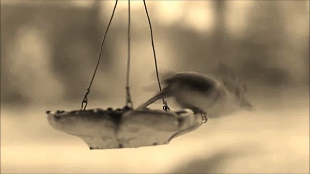 Asude Cemre - Pervane (Bana Ellerini Ver) смотреть онлайн