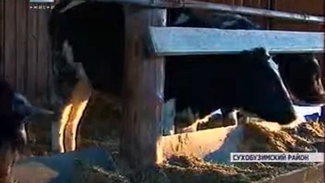 0912 Енисей новости 023