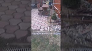 Заготовка берёзового сока
