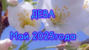 ДЕВА ♍ Расклад Таро на май 2025 года