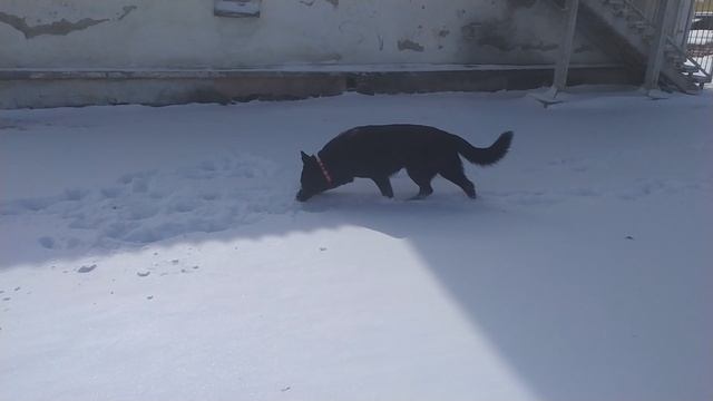 VID_20250419_104007.mp4 смотреть онлайн