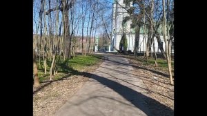 ЛЯГУШКА ПУТЕШЕСТВЕННИЦА