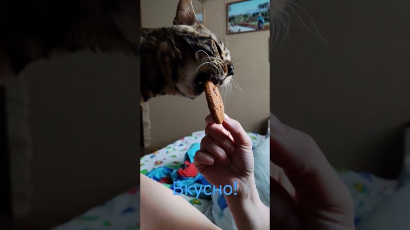Ну вкусно же!