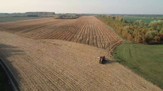 Aardenburg Beta XL 2600 Grizzly off-set flail mower - Case Maxxim 110 tractor смотреть онлайн