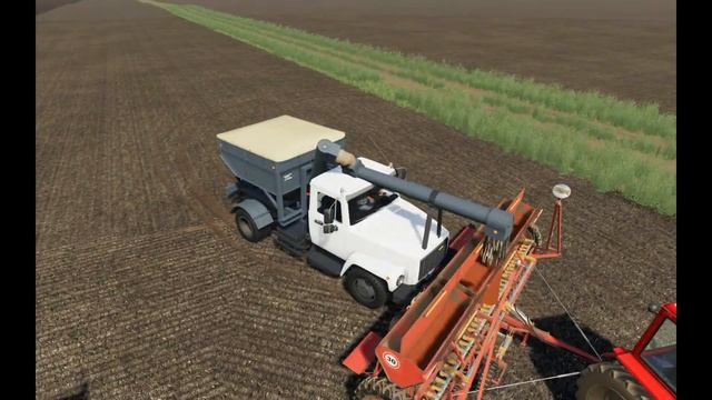 FS19|Посевная пшеницы|АгроМаш