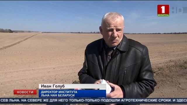 В южных регионах Беларуси завершается массовый сев льна