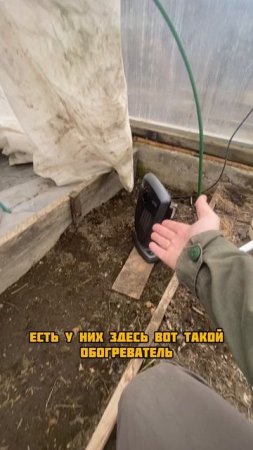 Унес лук в теплицу 
#гиганты_АМИНОСИЛ_2025
#БуйскиеУдобрения
#средства_защиты_greenbelt