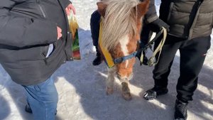 Верховая езда на Пони Камиль и Юлиана