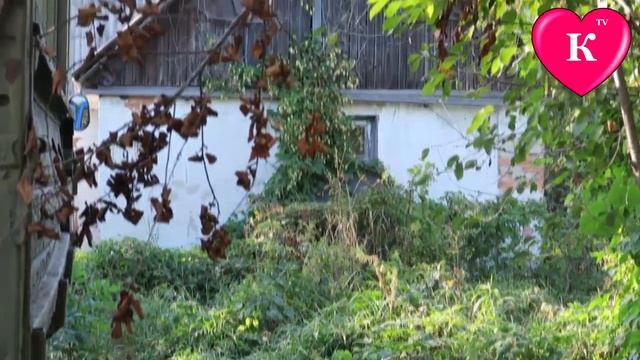 ВЕДЬМА НАПУГАЛА МАЛЫША | КУКЛЫ ПУПСИКИ В ОПАСНОСТИ  ВСЕ СЕРИИ ПОДРЯД  СБОРНИК смотреть онлайн