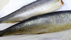 Сельдь закусочная