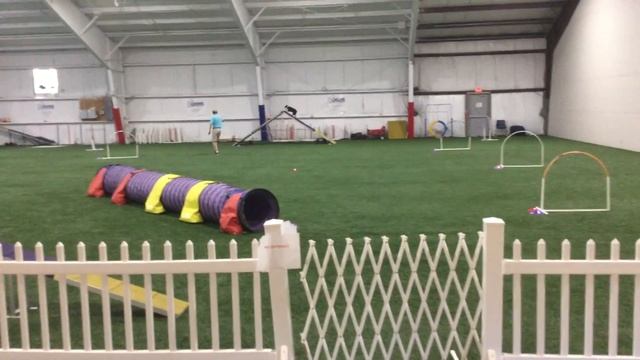 Jerry and Sadie #2 смотреть онлайн