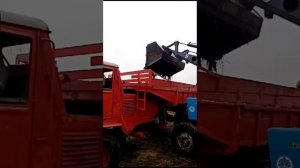 СШ-75 Таганрожец приехал на погрузку перегноя.