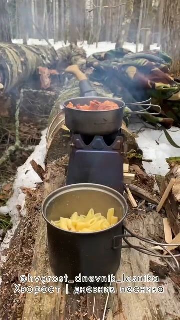 1,2,3 🔥! #поход #шепочница #лесник #походвыходногодня смотреть онлайн