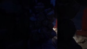 ДТ-75 по снегу зимой с возом дров. Силище  👍