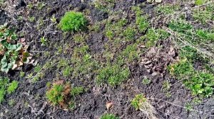 Не заработала 70000,но Христа не предала