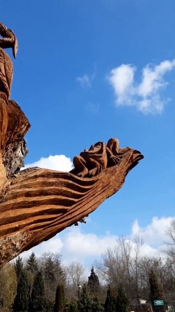 Wonderful Sculpture On A Tree, Pelican On A Tree, Beautiful Street Art #shorts смотреть онлайн