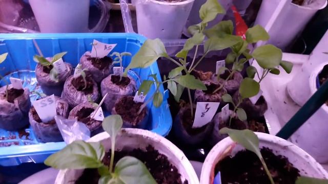 20220330 153829 смотреть онлайн