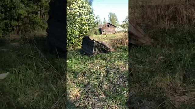 #Квестпозаброшеннымместам #заброшенныйпионерскийлагерь #детскийлагерь страшно страшнее Чернобыля смотреть онлайн