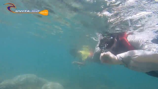 Uvita 360 kayak and snorkel Tours. Costa Rica смотреть онлайн