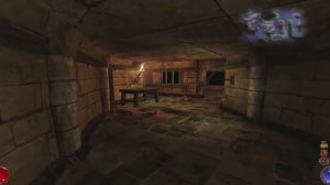 Arx fatalis полное прохождение игры - Часть 9 Спасение девочки Шанни.  Культ и разборки с гоблинами