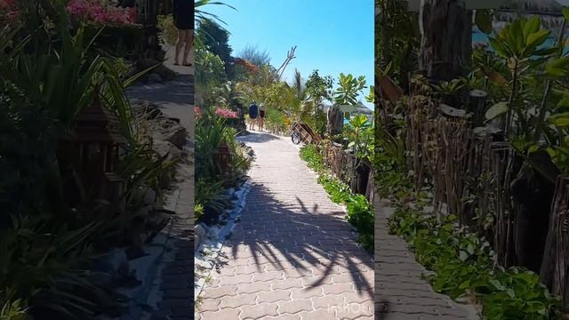 paradise Pearl Bungalow in Island Phi Phi Don Thailand #phiphiislands смотреть онлайн