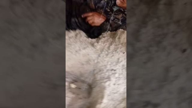 Как работают трактористы