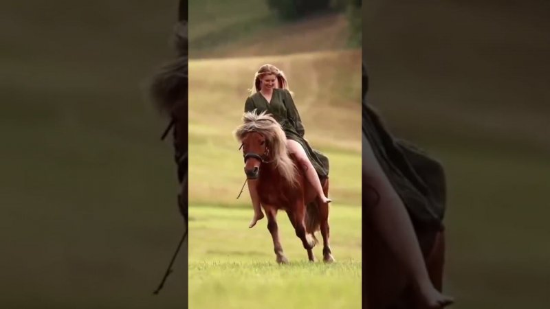 ЛЮТЫЙ ПОЗИТИВ В ТАКСИ #shorts