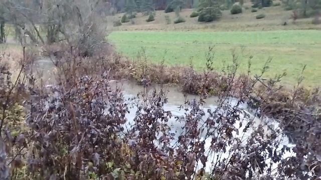 Дунай после дождей