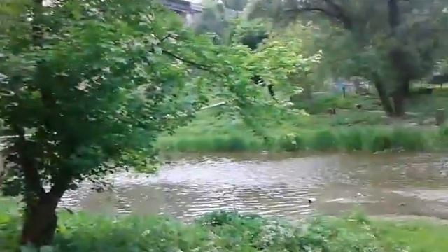 Водопад подвесной мост смотреть онлайн