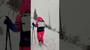 Попытка дойти до пика Юный Геолог