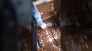 Снятие подшипников заднего и промежуточного вала кпп дт 75