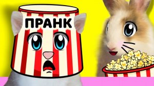 КИНОТЕАТР для Баффи Милаффи! Розыгрыш кошечки Мурки! Как сделать ПРОЕКТОР | А ну-ка давай-ка