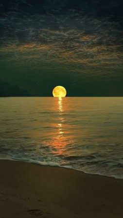 🌕 Луна 🌊