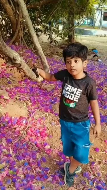 😍🥰 смотреть онлайн